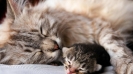 Válogatás-001_22