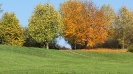 Válogatás-001_47