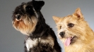 Válogatás-8_16