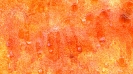 Válogatás-10_100